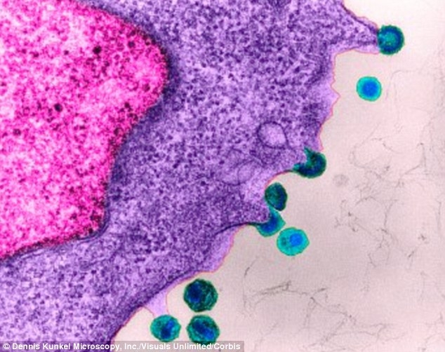 hiv positive dating apps